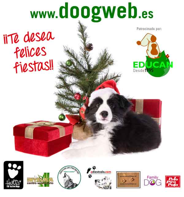 Desde doogweb te deseamos una ¡feliz Navidad! (¡Y no dejes que Papá Noel se olvide de los peludos!).