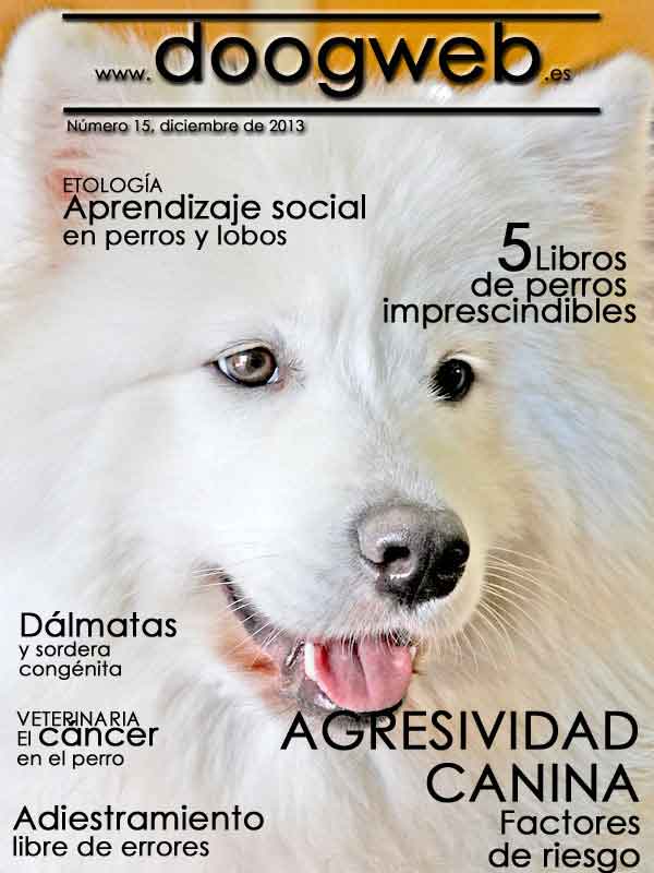 Revista gratis doogweb nº 15, diciembre 2013