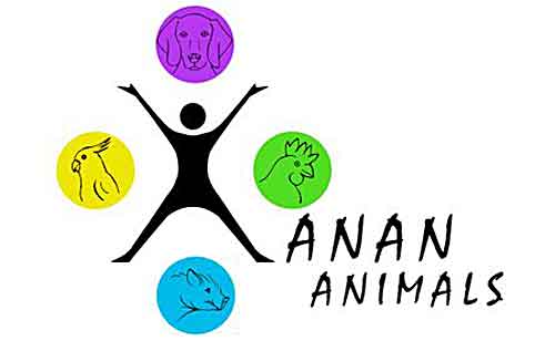 Completísimo Curso de Terapia Asistida con Animales y perros de terapia con Xanan Animals.