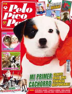 Pelo Pico Pata, enero 2014: Primer cachorro, tenencia responsable, setters, Navidad...