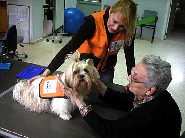 Completísimo Curso de Terapia Asistida con Animales y perros de terapia con Xanan Animals.