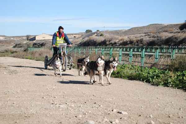 Hoy comienza la XXII Travesía de Los Monegros con Perros de Tiro.