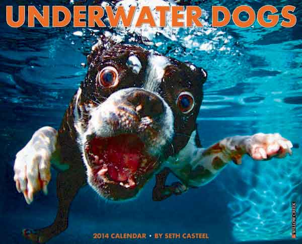 Seth Casteel ya tiene disponible su calendario 2014 de "Perros bajo el agua".