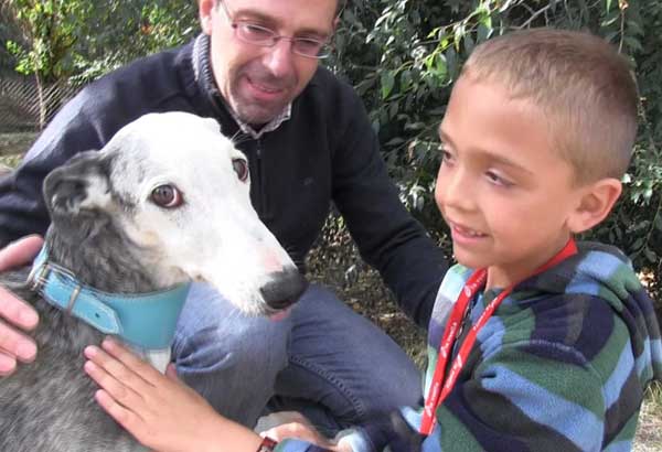 Una familia de Madrid adopta en la protectora El Refugio a una galga abandonada de ocho años, coja y con la enfermedad de la Leishmania.