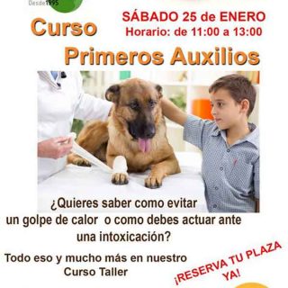 Taller práctico de primeros auxilios para perros, próximo 25 de enero en Madrid.