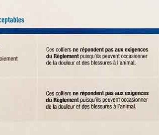Quebec prohíbe los collares eléctricos y de castigo.