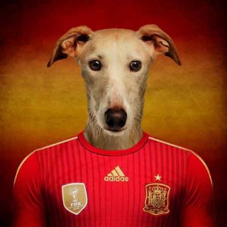 Un artista belga ha creado un singular proyecto de cara al Mundial de Fútbol 2014: A cada selección la ha identificado con una raza de #perro.