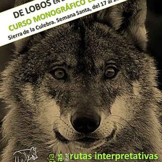 Curso monográfico sobre el lobo ibérico: "De lobos por la Sierra de la Culebra".