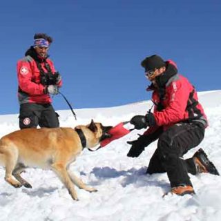 Sierra Nevada, primera estación española en contar con un perro adiestrado en rescate en avalanchas.