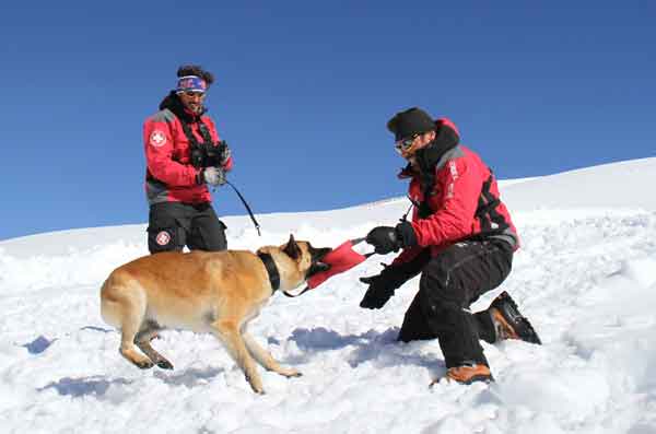 Sierra Nevada, primera estación española en contar con un perro adiestrado en rescate en avalanchas.