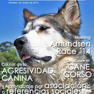 #Perros. Revista #gratis, Los mejores artículos de doogweb en marzo 2014.
