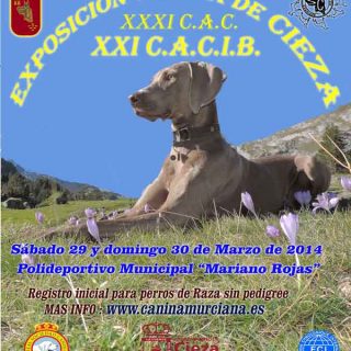 Exposición Canina de Cieza (Murcia) 2014