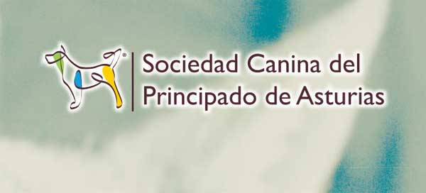 XXXVIII Exposición Nacional del Principado de Asturias 2014 y  XXVII Exposición Internacional del Principado de Asturias 2014.