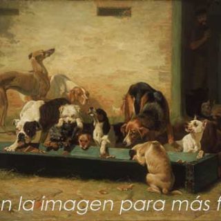 Más frases sobre perros.