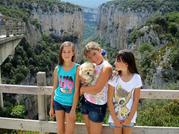 Navarra, un destino dog friendly. Más de 320 establecimientos aceptan animales de compañía en Navarra.