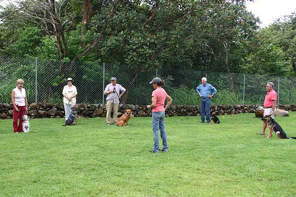 Seminario: Problemas de conducta en los perros, asociados a enfermedades. Conocer esos factores es imprescindible para no implementar protocolos de modificación de conducta equivocados y, sobre todo, más efectivos al identificar la causa principal del problema.