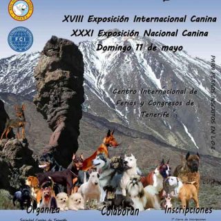 XXX - XXXI Exposición Nacional Canina de Tenerife y XVIII Exposición Internacional