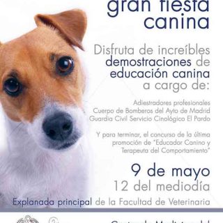 En la Fiesta Canina de la UCM (la entrada es gratuita) habrá demostraciones de adiestramiento con: Guardia Civil Servicio Cinológico El Pardo, Cuerpo de Bomberos del Ayto de Madrid y Adiestradores profesionales.