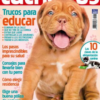 Guía práctica para cachorros, número especial de la revista Perros y Compañía.