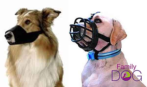#Perros con bozal ¿por qué no? Los perros con bozal NO son perros peligrosos, son perros seguros.