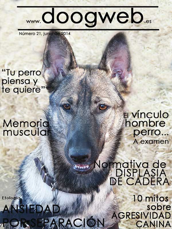 Descárgate gratis la revista doogweb número 21, junio 2014: Un spray de oxitocina puesto a prueba en perros, Los perros de chalet... Son los más desgraciados, La RSCE ha aprobado la Normativa para la valoración de la Displasia de Cadera y Codos en perros, ¿Hablamos sobre agresividad canina?, Los perros no son tan diferentes de los lobos, "Tu perro piensa y te quiere", Consejos para los perros en verano, ¿No conoces la increíble historia de Murphy?, 5 cosas que pueden deteriorar (mucho) el vínculo, ¿Por qué se produce en realidad la ansiedad por separación?, Prejuicios sobre el uso del bozal, Mia Skogster reina de nuevo, La memoria muscular es la clave de la precisión, El vínculo hombre-perro a examen, Ficha de evaluación...