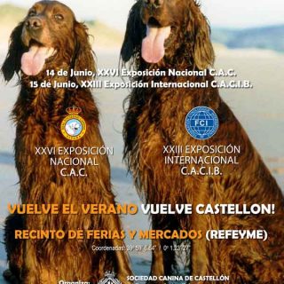 Exposición Internacional Canina Castellón 2014.