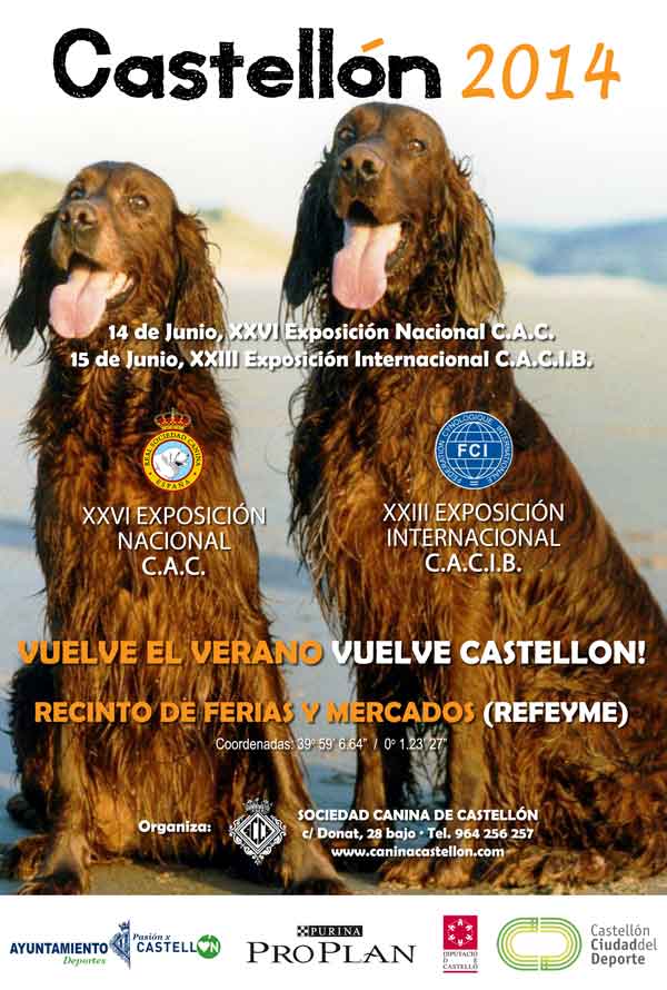 Exposición Internacional Canina Castellón 2014.