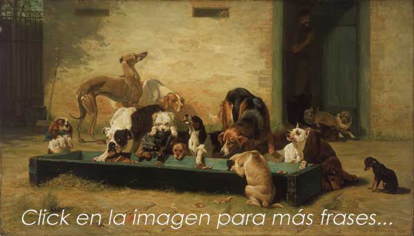 Más frases sobre perros.