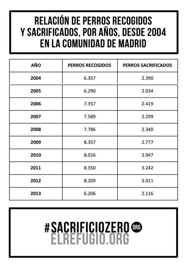 #SacrificioZero. La protectora El Refugio recogerá 50.000 firmas para evitar que se sacrifiquen perros y gatos abandonados en la Comunidad de Madrid.