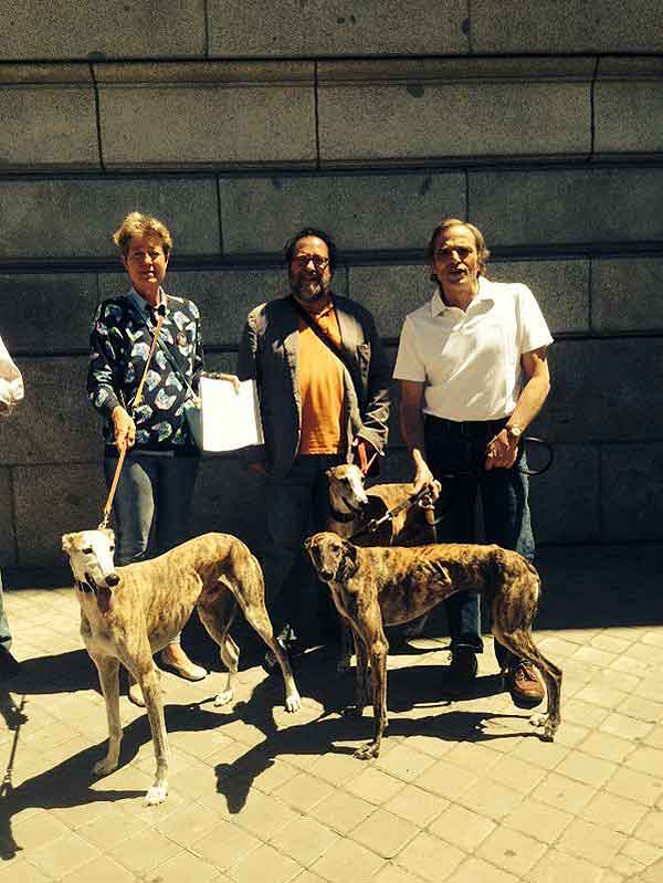 SosGalgos2 SOS Galgos se manifiesta por el respeto a los galgos en España