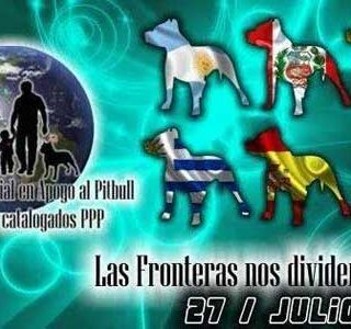 2ª Caminata Mundial en apoyo al pitbull y razas ppp's en Madrid