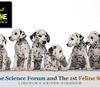 4º Canine Science Forum y 1º Feline Science Forum, 14-18 de julio. El Foro de la Ciencia Canina reúne a científicos con diferente experiencia en el área de Ciencia Canina, mejorando la comunicación entre los diversos campos.