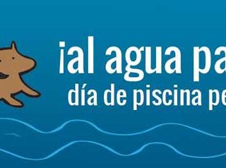 Piscina para perros en Daganzo (Madrid). ¡Al agua patas! Evento acuático para perros y personas...