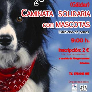 El próximo domingo día 14 de septiembre, se celebrará la “2ª caminata solidaria con mascotas” en Barrial.