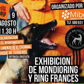 Demostración de Ring Francés y Mondioring en El Escorial.