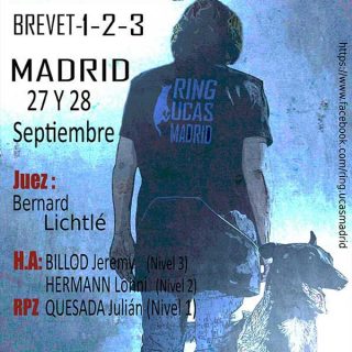 Concurso de Ring Francés, en Madrid: 27 y 28 de septiembre, con Ring UCAS Madrid.
