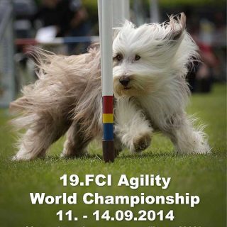 Campeonato del mundo de agility de la FCI.