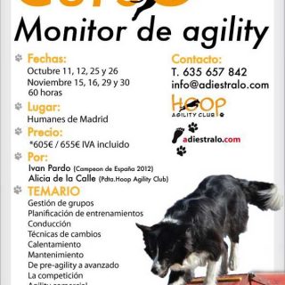 Curso de Monitor de Agility (en Madrid)