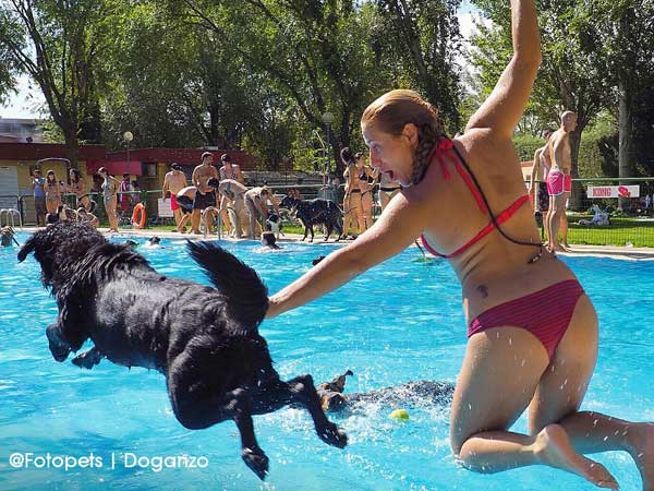 @doganzo @fotopets. Éxito de "Al agua patas", piscina para perros en Daganzo.
