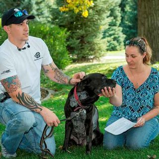 La historia de Kay, un perro detector de explosivos, mestizo de pit bull y labrador, e su lucha contra un tumor de corazón.
