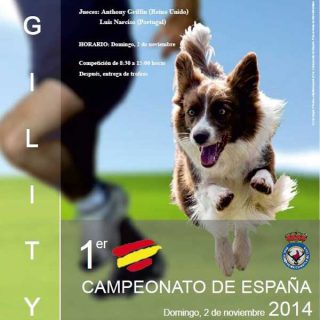 Primer Campeonato de España de Agility de la RFEC, próximo fin de semana en Valdetorres del Jarama.