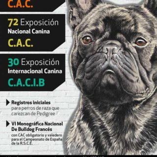 Exposiciones Caninas (Nacional e Internacional) en Santiago de Compostela, programa, info...