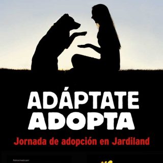 Este fin de semana comienzan las Jornadas de adopción en Jardiland.