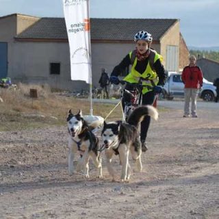 El Club de Mushing Monegros presenta la tercera edición de la Carrera de Fuentes Claras con perros de tiro, que se celebrará en la localidad turolense los días 1 y 2 de noviembre de 2014.