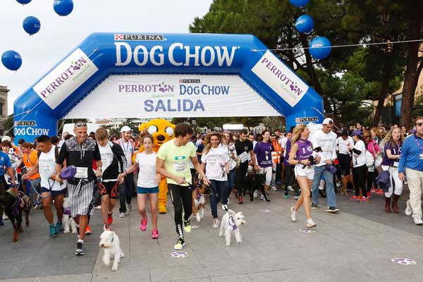 Coincidiendo con la carrera <strong>Perrotón 2014</strong>, Purina Dog Chow aprovecha para concienciar sobre los beneficios que aporta la realización de actividad física tanto para las mascotas como para sus propietarios y demostrar que juntos la vida es mejor.