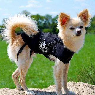 Las chaquetas Thunder Shirt y Anxiety Wrap ayudan a los perros con ansiedad por separación.