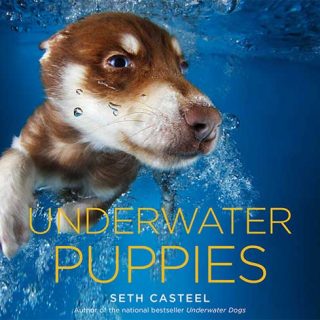 Underwater puppies, de Seth Casteel ¡claro!