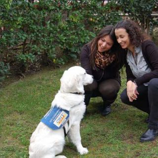 PURINA socializa a futuros perros de asistencia gracias a un programa pionero