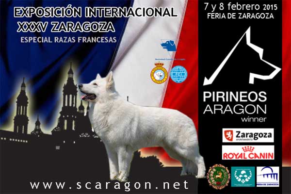 Exposición Canina de Aragón 2015: XXXV Exposición Internacional Canina y Pirineos Aragón Nacional 2015.
