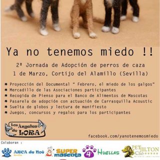 "Ya no tenemos miedo" es la 2ª Jornada de Adopción de perros de caza, que se celebrará el próximo 1 de marzo en el Cortijo del Alamillo (Sevilla).